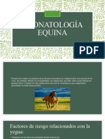 Neonatología Equina