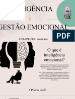 Palestra Inteligencia e Gestao Emocional