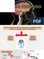 Sistema Nervoso