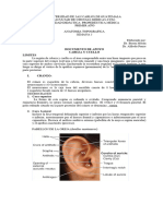 DOCUMENTO DE APOYO Cabeza y Cuello