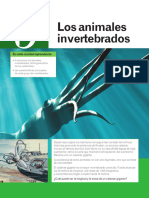 09 Invertebrados