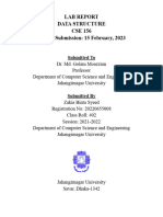 Ds Final Lab Report