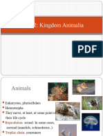 Animal Kingdom en