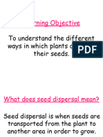 Seed Dispersal