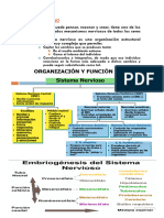 Examen Anatomia Anfiteatro