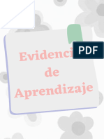 Ejemplo de Evidencia de Aprendizaje