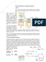 Guía de Embriología Del Ojo