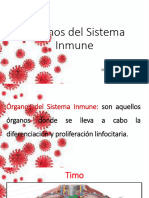 Organos Del Sistema Innume