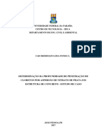 Determinacao Da Profundidade de Penetracao de Cloretos Por Aspersao de Nitrato de Prata em Estrutura de Concreto Estudo de Caso