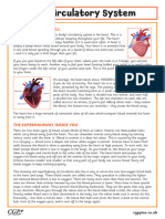 The Circulatory System Comprehension Higher