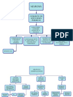 Mapas Conceptuales Neurosis