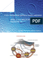 Tema 2 Rocas - Igneas