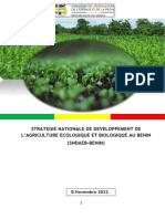 Strateigie Agriculture - Ecologique Biologique - VF