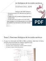 1era Partetema 2 Funcioes Biológicas Molecular