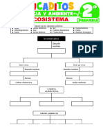 El Ecosistema para Primer Grado de Primaria