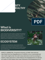 Biodiversity Education Presentation Presentation in Dark Green White Corpor