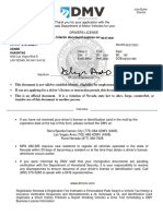 DL Interim Document