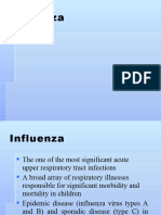 Flu 1