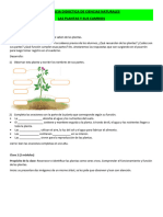 SECUENCIA DIDÁCTICA DE CIENCIAS NATURALES LAS PLANTAS 3ro