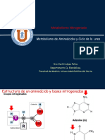 Metabolismo de Nitrógeno - Nek 2021