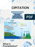 Hydrology Precipitation Report Team A