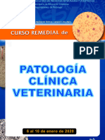 Patología Clínica 2bis