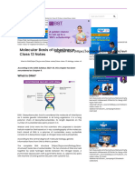 Molecular Basis of Inheritance For Class 12 Chapter 6 Biology Notes