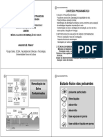 Remediação Dos Solos Contaminados