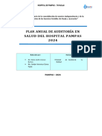 Trabajo Final-Plan Anual de Auditoria Hospital de Pampas