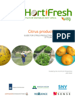 CitrusProductionManual 2022 Online