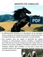 Adiestramiento en Caballos