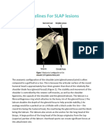 1425941980-Guidelines For SLAP Lesions