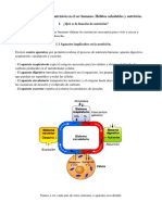 Tema 8. Habitos Saludables