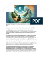 .3 - Herramientas de Respiración y Atención Plena Como Apoyo para La Práctica de EMDR.