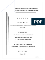 Conociendo Mis Derechos Humanos Basados en La Igualdad Ensayo