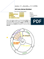 The Cell Cycle Worksheet 1-1