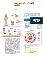 Organização Da Célula