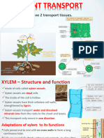 Plant Transport To Write