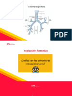 T9. PPT UMA LED - Fisiología de La Sangre, Componente Líquido, Sólido y Gaseoso