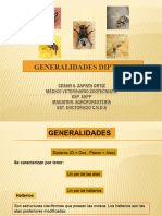 Generalidades Dipteros