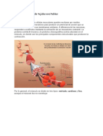 Fisiología de Tejidos Excitables