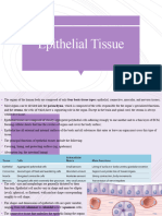 Epithelial Tissue