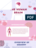 The Human Brain 2