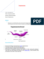 Trypanosoma