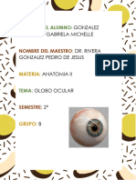 Nombre Del Alumno:: Gonzalez Guerrero Gabriela Michelle Dr. Rivera Gonzalez Pedro de Jesus Anatomia Ii Globo Ocular 2° B