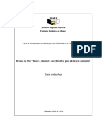 Trabalho de Filosofia Ambiental