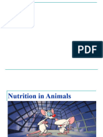 Animal Nutrition