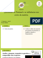 Aula 9 - Queimadas No Pantanal e As Influências Nos Ciclos Da Matéria