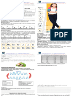 CyT Ficha Composición Química de Los Seres Vivos