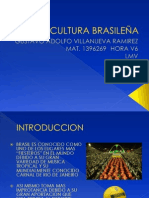 Cultura Brasileña